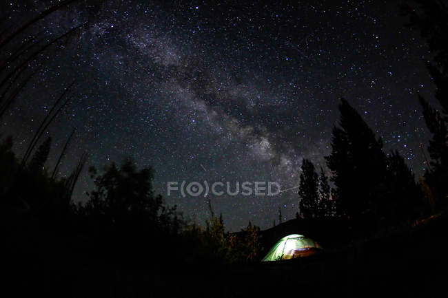 Vista panorâmica do acampamento na fascinante noite estrelada na floresta — Fotografia de Stock