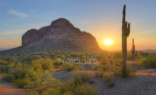 USA, Arizona, Eagletail Mountains Wilderness, Springtime Sunrise in Desert — Stock Photo
