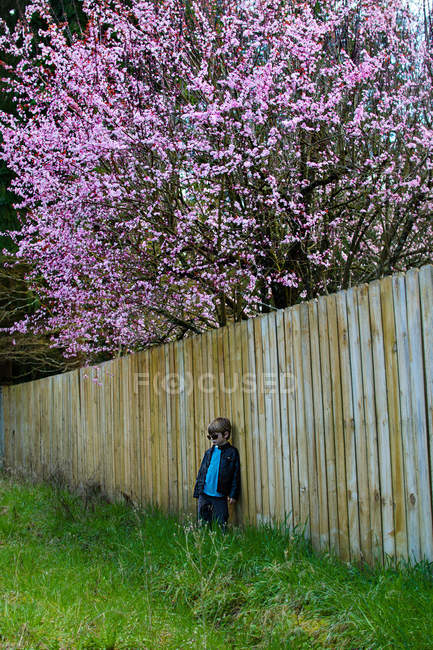 Boy wearing sunglasses leaning on fence in garden with blooming tree — Stock Photo