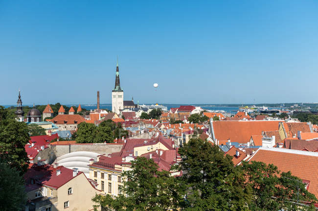 Vista panoramica degli edifici della città vecchia, Estonia, Tallinn — Foto stock