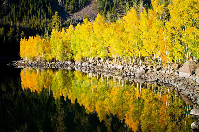 Vista panorâmica da margem do rio em Utah, EUA — Fotografia de Stock