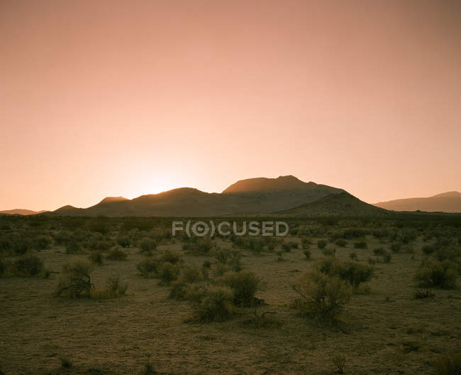 Захід сонця в пустелі Мохаве, США, штат Каліфорнія — стокове фото