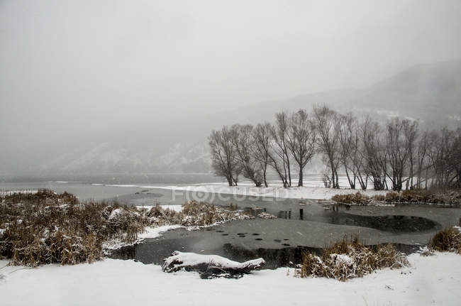 Vue panoramique du paysage hivernal avec de l'eau gelée et du brouillard — Photo de stock