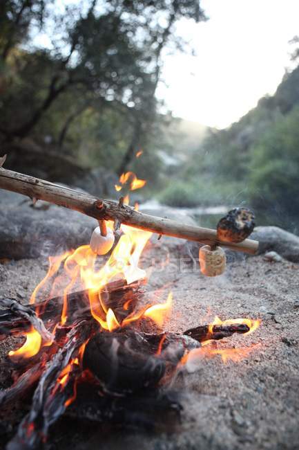 Primo piano vista di marshmallow tostatura nella foresta in falò — Foto stock