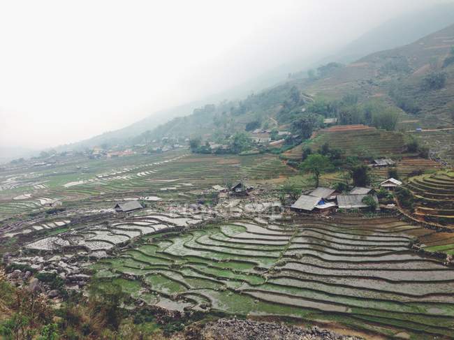 Вьетнам, провинция Лао Цай, Са Па, ландшафт типичного вьетнамского сельского хозяйства — стоковое фото