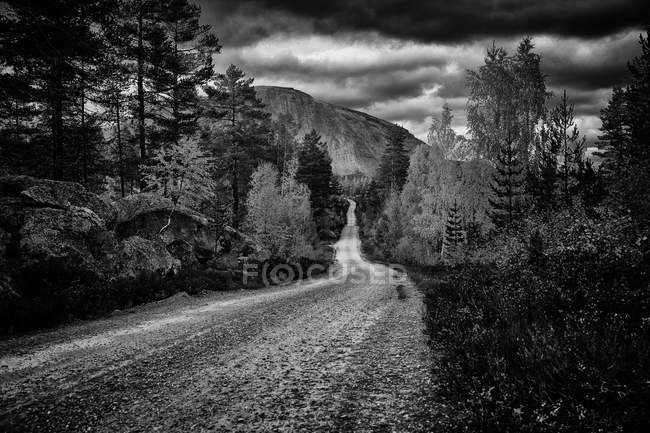Scenic view of dirt road leading towards mountain — Stock Photo