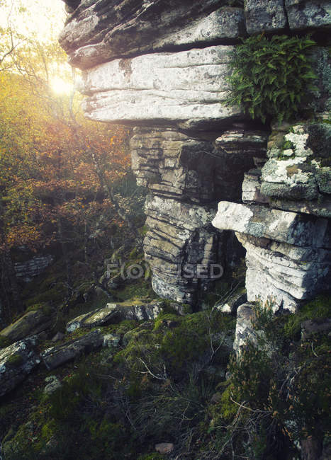 Vista panoramica Portale di monumento in pietra, Valle dell'Arces, Navarra, Spagna — Foto stock