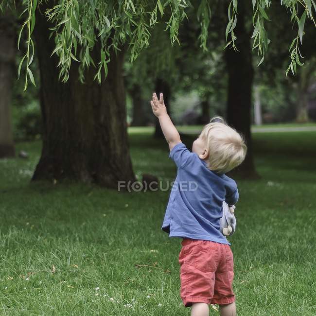 Маленький хлопчик намагається дістатися гілки в саду — стокове фото