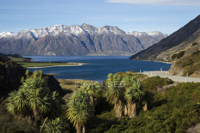 Новая Зеландия, Южный остров, величественный пейзаж с фьордом и горами — стоковое фото