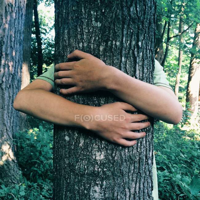 Abgeschnittenes Bild einer Person, die Baum im Wald umarmt — Stockfoto