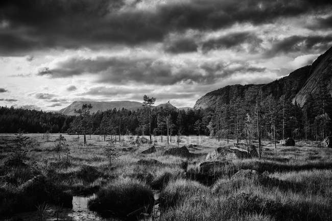 Scenic view of marshes under dramatic sky, monochrome image — Stock Photo