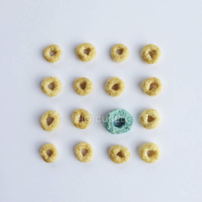 Close-up of circular breakfast cereal in a row, white background, top view — Stock Photo