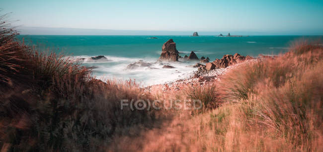 New Zealand, West Coast, Cape Foulwind, beautiful view of Tasman Sea from hill — Stock Photo