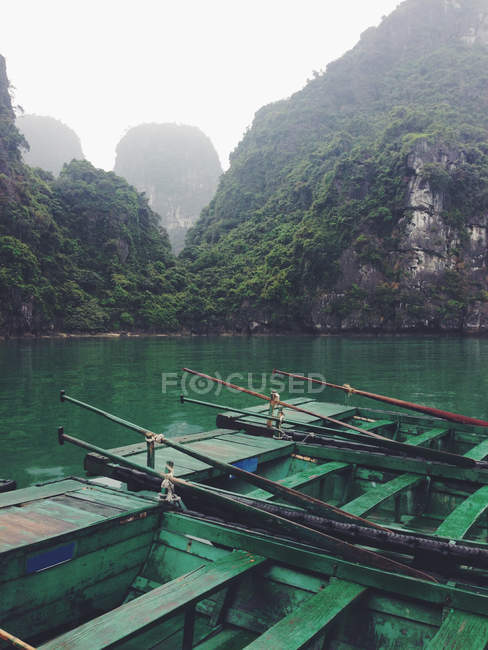 Primo piano di barche a remi verdi ormeggiate nella bellissima baia — Foto stock