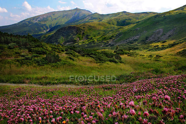 Vue panoramique sur la montagne Pip Ivan, Chornohora, montagnes des Carpates, Ukraine — Photo de stock