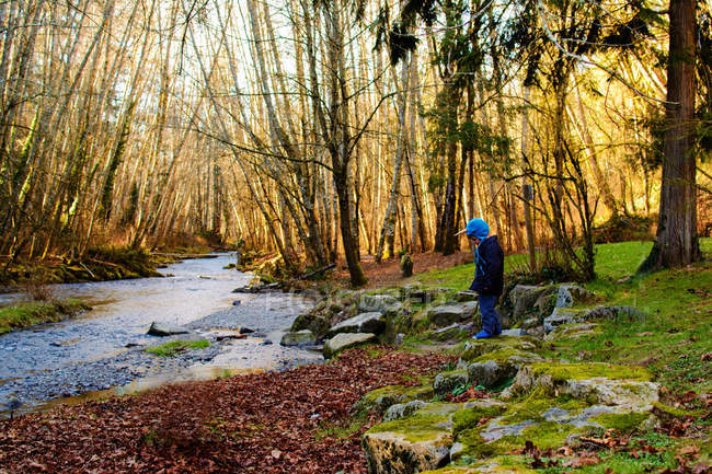 Little boy playing near river in woods — Stock Photo