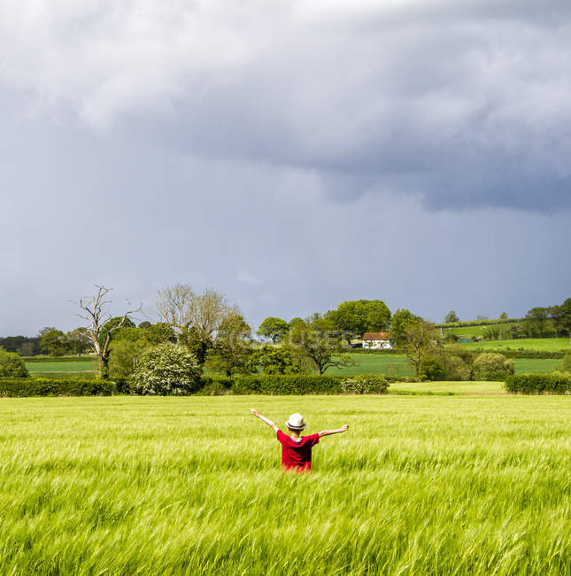 Вид сзади мальчика, стоящего в поле с вытянутыми руками — стоковое фото