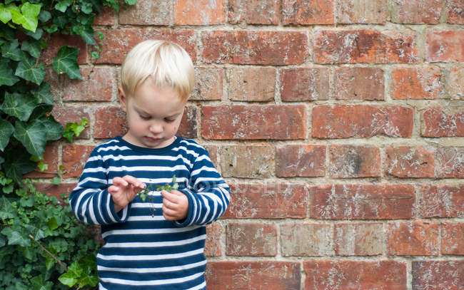 Retrato de menino segurando planta na frente da parede de tijolo — Fotografia de Stock