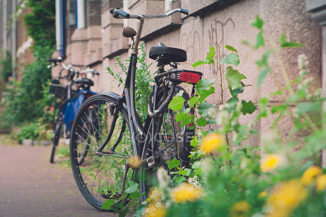 Нідерланди, Амстердам, мальовничим видом припаркованих велосипеди — стокове фото