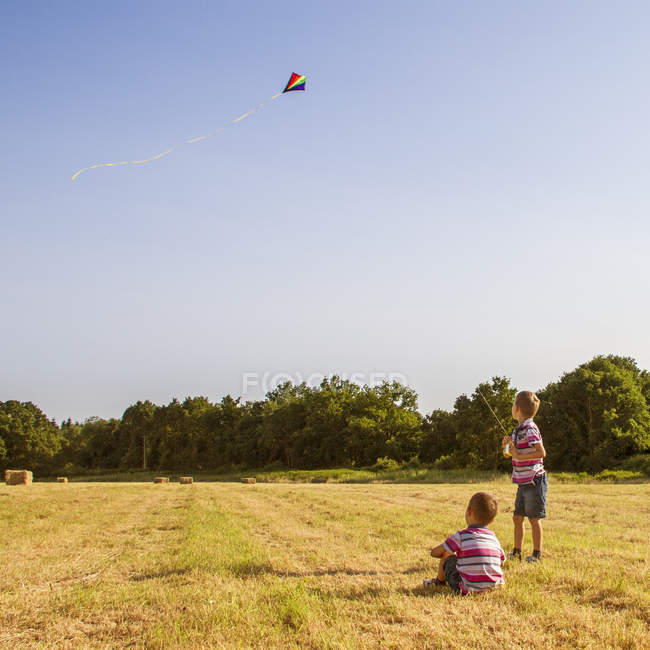 Dois meninos bonitos no campo voando pipa — Fotografia de Stock