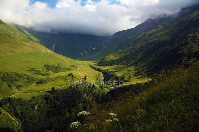 Vue panoramique sur la belle vallée verdoyante des Alpes — Photo de stock