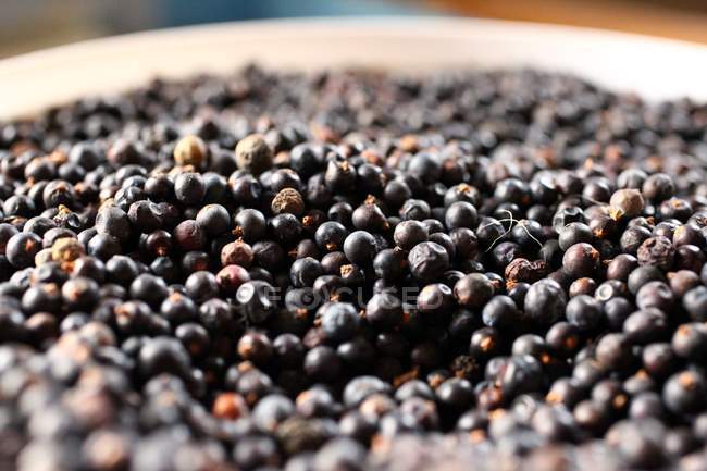 Close-up of fresh Juniper berries in bowl — Stock Photo