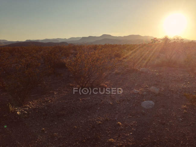 Живописный вид на красивый закат в пустыне — стоковое фото