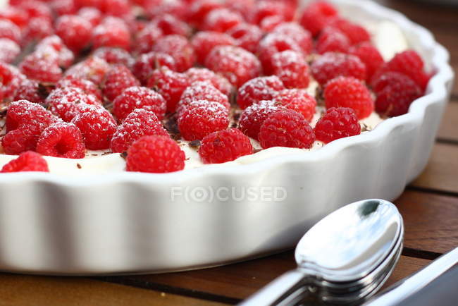 Close-up of homemade Raspberry trifle in baking dish — Stock Photo
