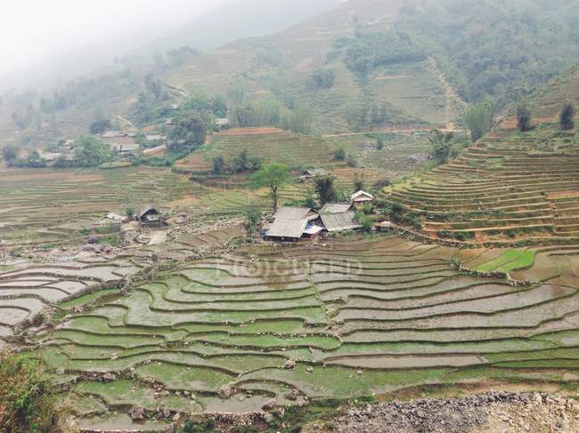Вьетнам, провинция Лао Цай, Са Па, ландшафт типичного вьетнамского сельского хозяйства — стоковое фото