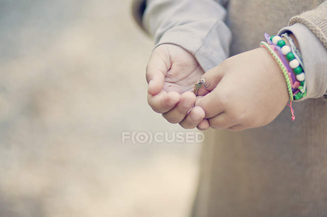 Cropped image of Girl holding dragonfly in hands against blurred background — Stock Photo