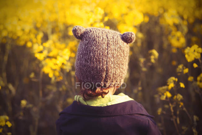 Vista trasera de Niño con sombrero de pie contra el campo amarillo - foto de stock