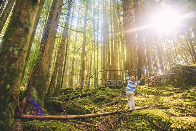 Мальчик балансирует на бревне в лесу при подсветке — стоковое фото
