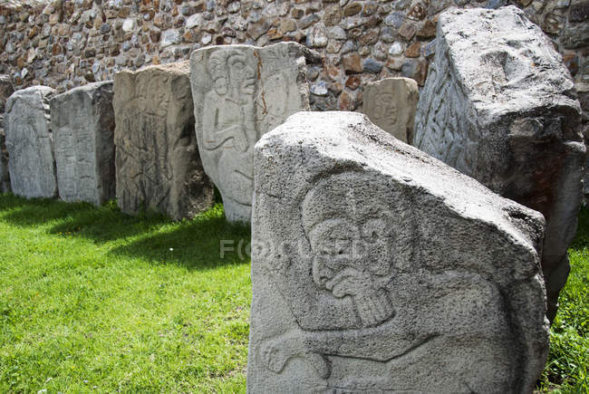 Mexiko, oaxaca, santa cruz xoxocotlan, monte alban, Steinplatten mit Schnitzereien auf Gras — Stockfoto