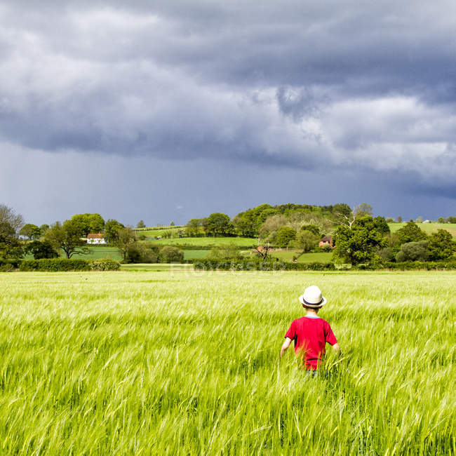 Задній вид хлопчик, проходячи через поле під бурхливі хмари — стокове фото