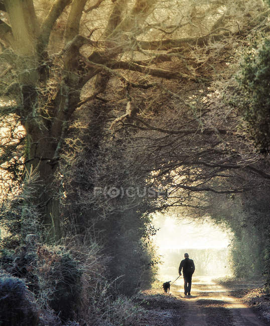 Silhouette eines Mannes, der Hund im Winter auf dem Weg führt — Stockfoto