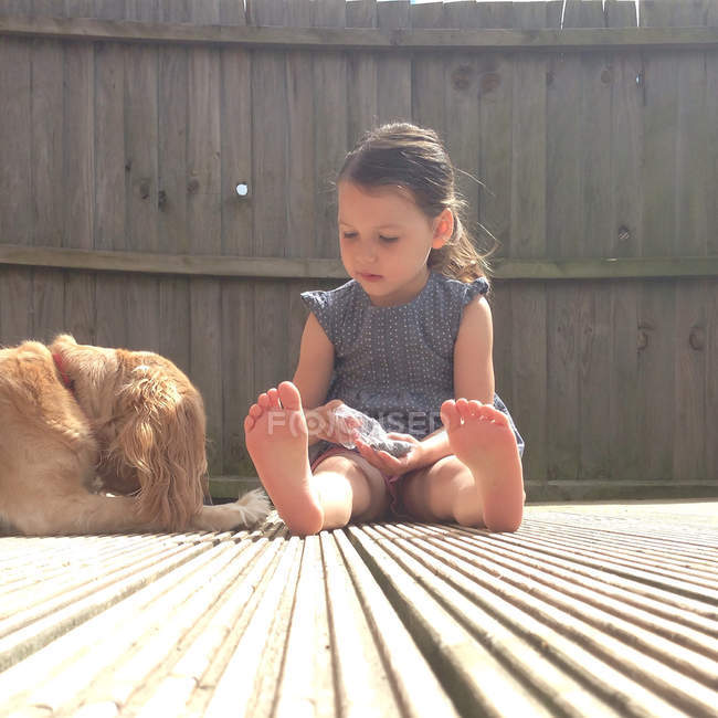Девушка сидит с собакой перед деревянным забором — стоковое фото