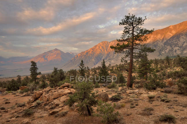 USA, California, Sunrise of Wheeler Ridge and Mt Tom — Stock Photo