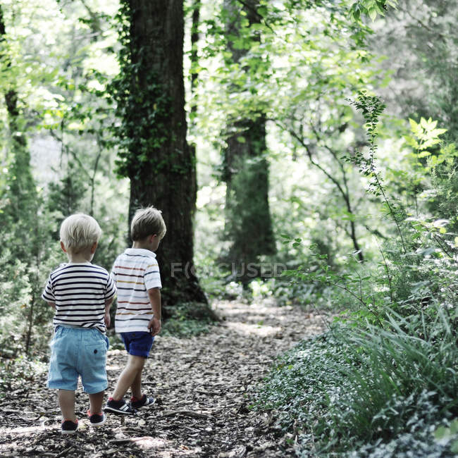 Zwei Jungen gehen im Wald spazieren — Stockfoto