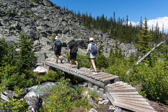 Canada, Columbia Britannica, Joffre Lakes Provincial Park, Escursionisti che attraversano la passerella — Foto stock