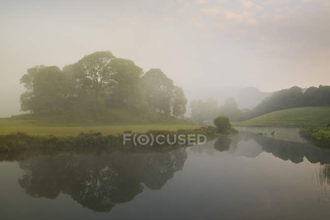 Niebla en el campo con flujo fluvial y árboles - foto de stock