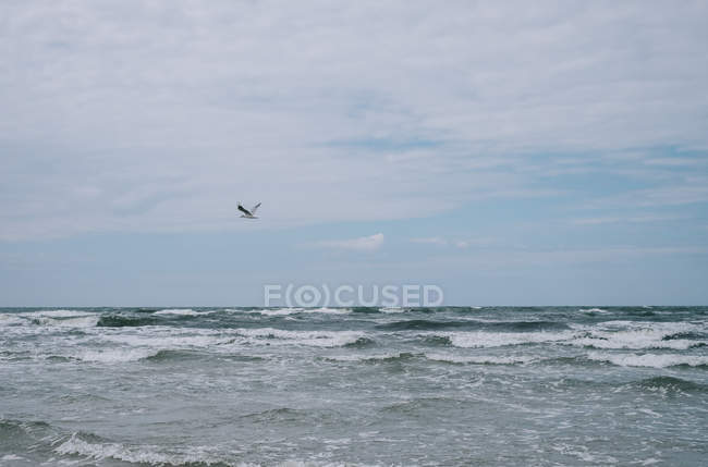 Agua de mar tormentosa con olas, aves gaviotas voladoras en el cielo - foto de stock