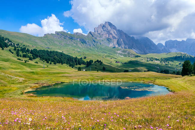Schöne Berglandschaft mit kleinem Teich — Stockfoto