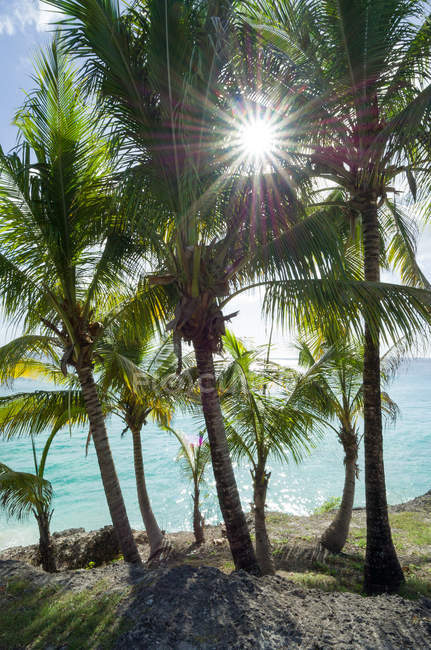 Resort tropical, palmeiras na praia na água do mar — Fotografia de Stock
