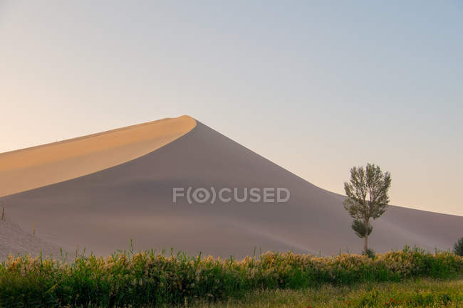 Зеленый луг и песчаная гора — стоковое фото