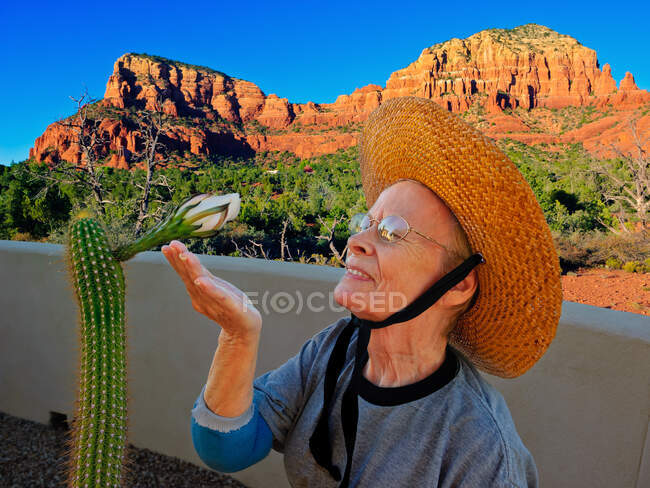 Liberación Mujer anciana jubilada que vive en Arizona anticipando la tan esperada apertura de un capullo de flores del Trichocereus Spachianus, también conocido como el Cactus Antorcha de Oro. — Stock Photo
