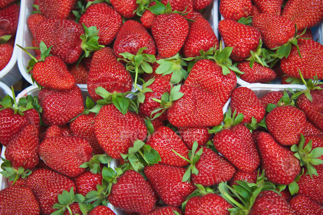 Vista superior de fresas rojas frescas en el mercado - foto de stock