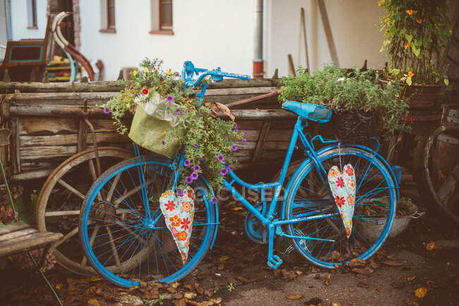 Bicicleta vintage com cesta cheia de flores em pé no quintal — Fotografia de Stock