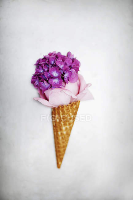 Flores en el cono de helado, estudio - foto de stock