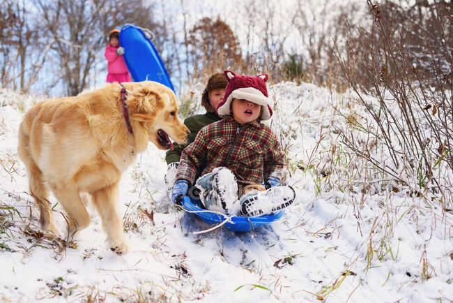 Tre bambini slittino giù per la collina nella neve con il loro cane golden retriever — Foto stock