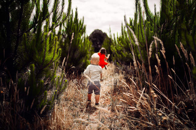 Chico y chica corriendo a través de hierba larga - foto de stock